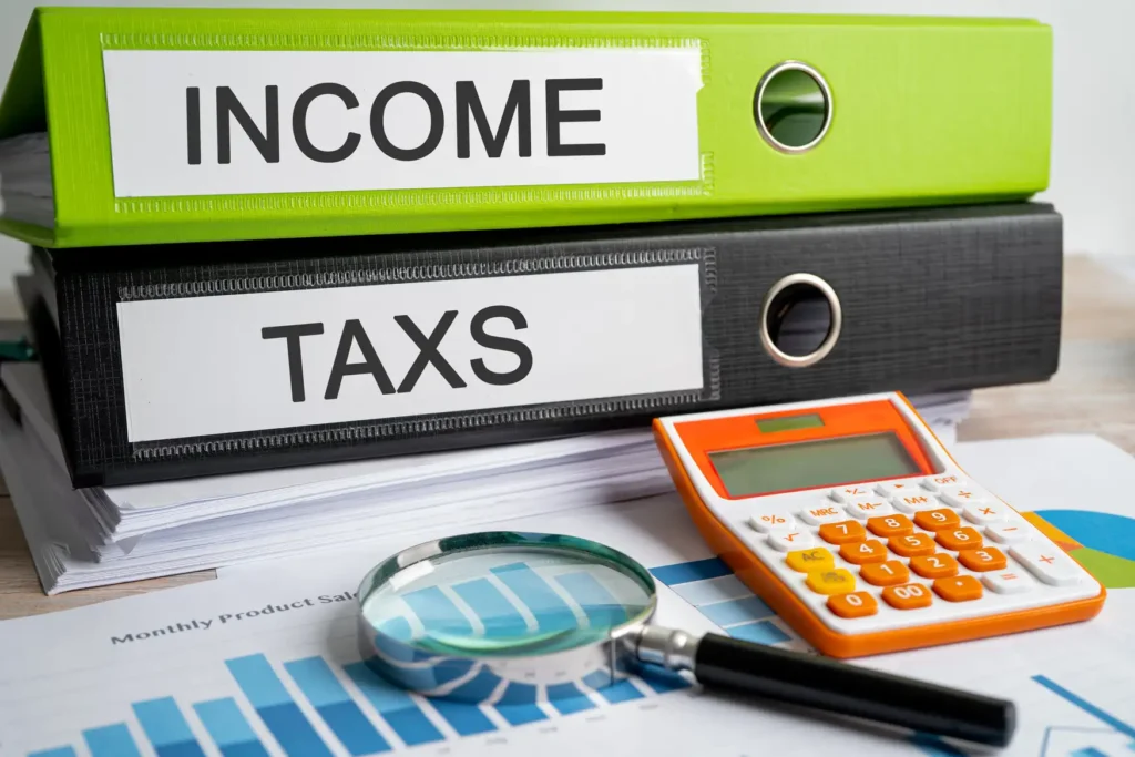 Income and Sale Tax Filing service in Pakistan